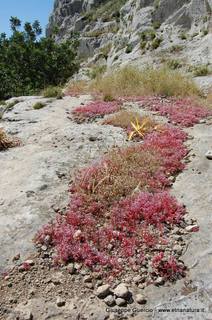 ntana Paradiso-15-05-2014 17-40-18